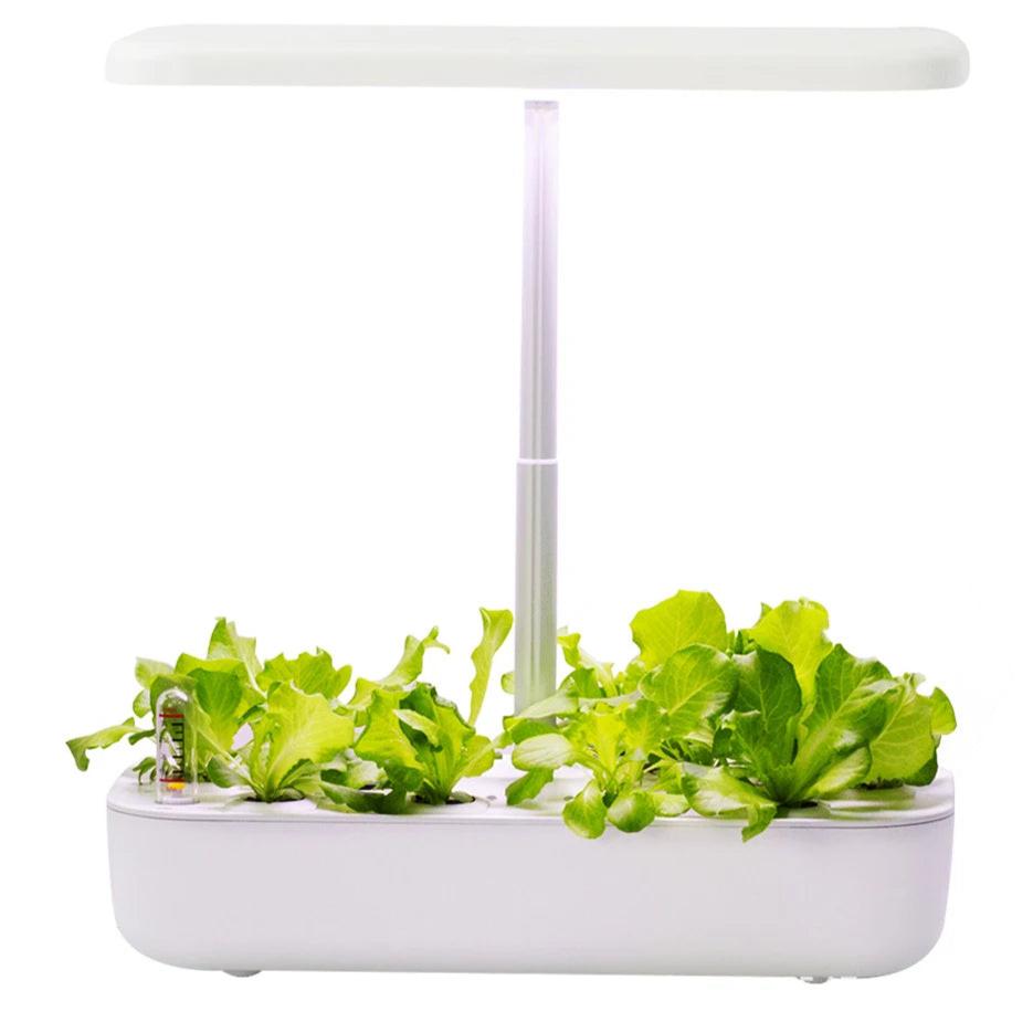 Hydroponic Growing Systems for Home, LED Grow Light, Non-Toxic Soilless Smart Planting Machine, Indoor Gardening